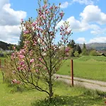 Pod Lysou Horou Feriehus Ostravice